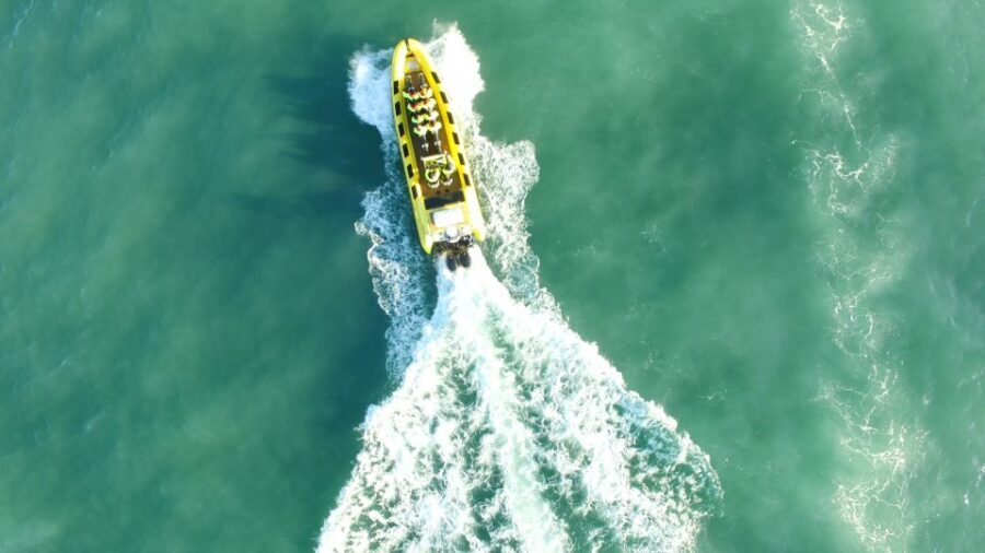 Reykjavik: Whale Watching by RIB Speedboat - Should You Book This Reykjavík Whale Watching RIB Tour?