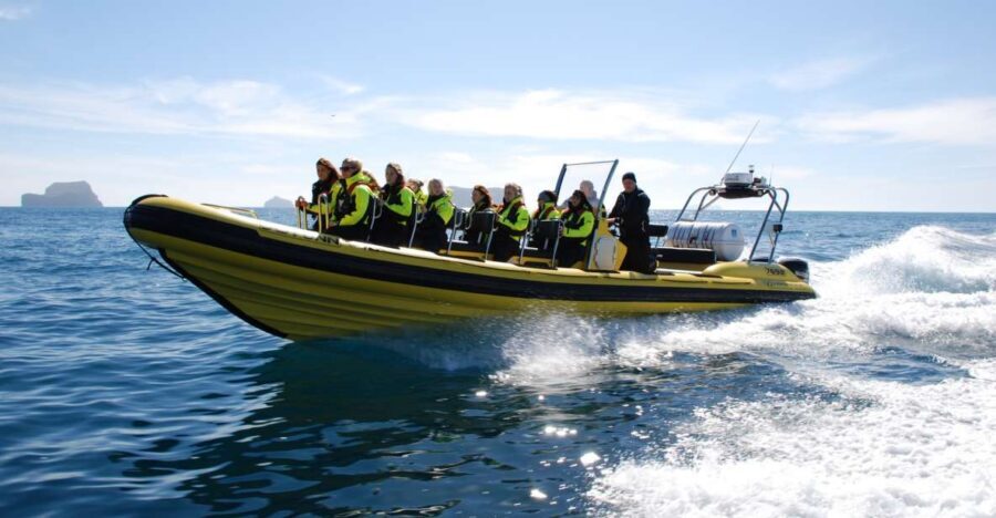 Reykjavik: Whale Watching by RIB Speedboat - Reykjavík From the Water: Harpa, the Coast, and Bay Views