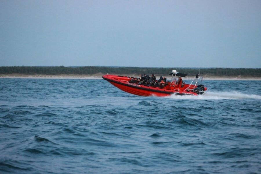Reykjavik: Whale Watching by RIB Speedboat - Engey and Lundey: Why These Islands Matter for Bird and Whale Activity