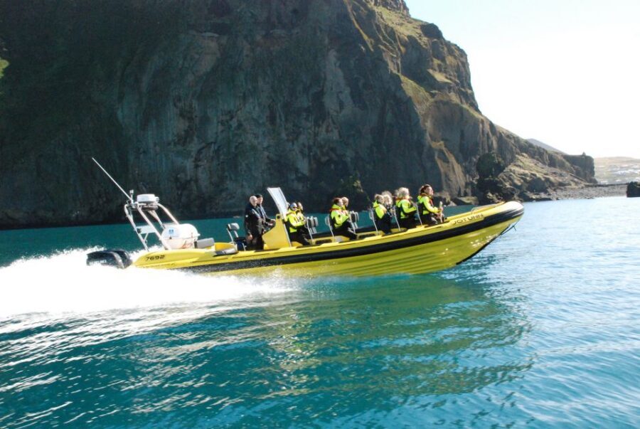 Reykjavik: Whale Watching by RIB Speedboat - Weather and Comfort: When the Captain Adjusts the Plan