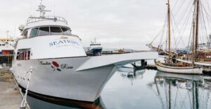 Reykjavík: Whale Watching Cruise on the Amelia Rose Yacht - The Yacht Setup: Three Viewing Decks, Warmth, and Real Comfort