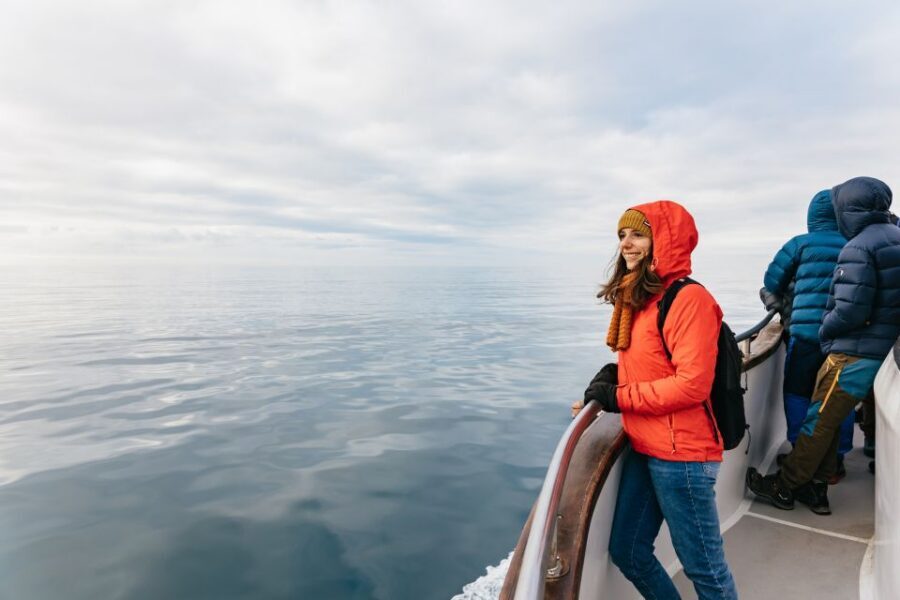 Reykjavík: Whale Watching Cruise on the Amelia Rose Yacht - Price and Value: Is $107 for 3 Hours Fair?