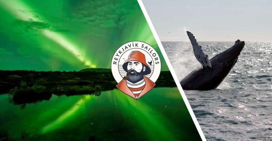 Reykjavik: Whale Watching & Northern Lights Combo Cruise - Key highlights worth planning for