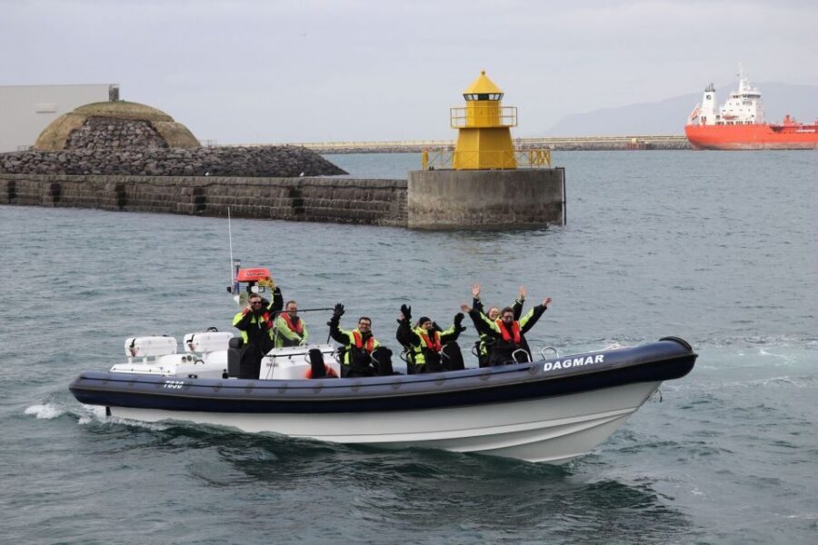 Reykjavik: Whale Watching Tour by RIB Boat - What the guides and the boat setup mean for your comfort