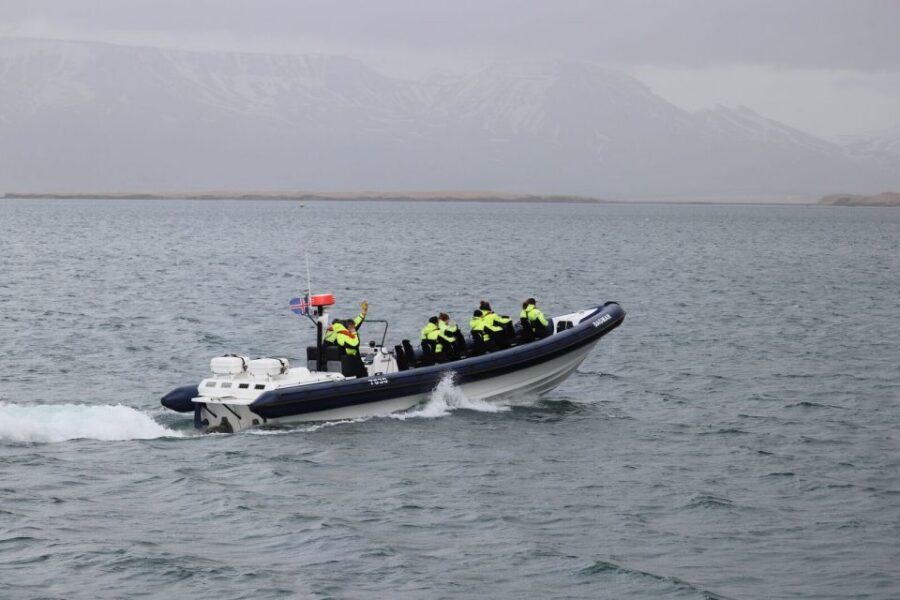 Reykjavik: Whale Watching Tour by RIB Boat - Value check: does $194 for 2 hours make sense?