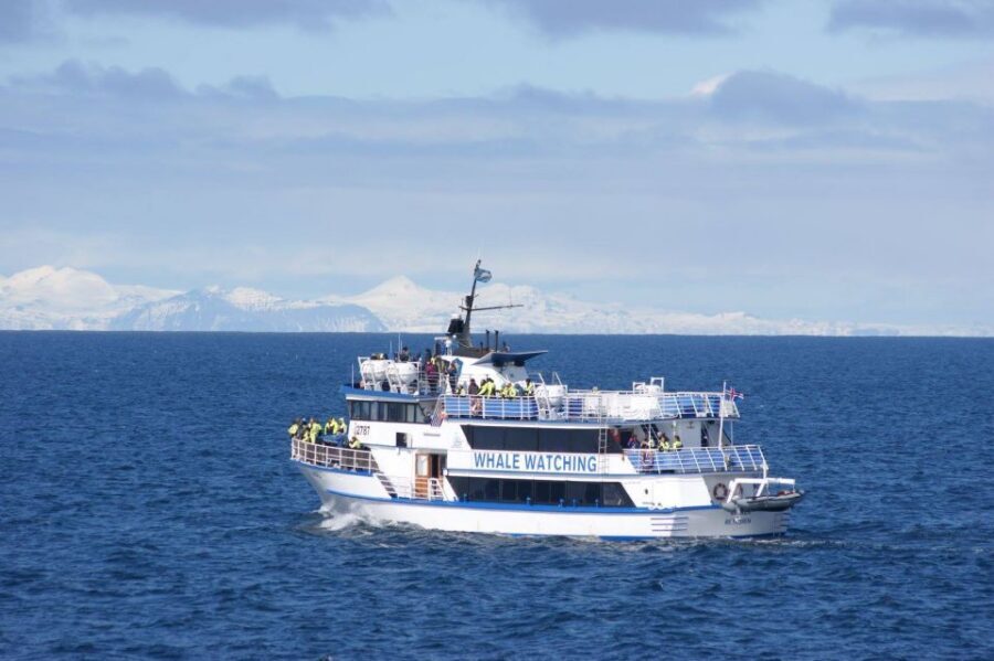 Reykjavik: Whale Watching Tour, Whales of Iceland Exhibition - Price and value: is $123 a fair deal for this combo?