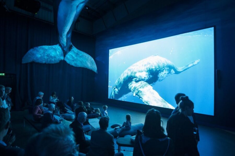 Reykjavik: Whale Watching Tour, Whales of Iceland Exhibition - Thermal overalls and boat comfort: your weather insurance
