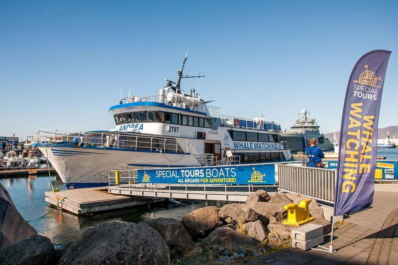 Reykjavik: Whale Watching Tour with Expert Guide - Classic vs Express: Picking the Right Time for Your Trip