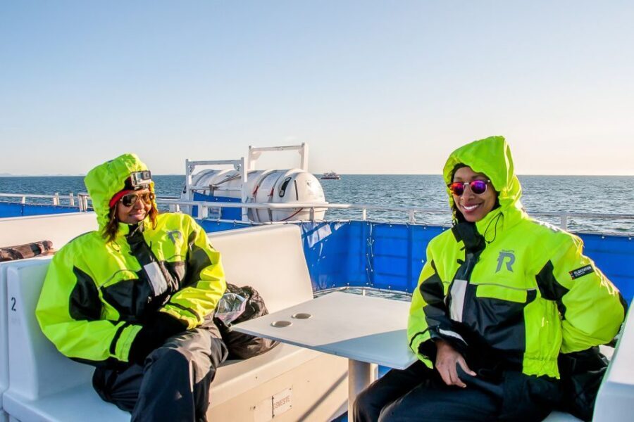 Reykjavik: Whale Watching Tour with Expert Guide - Weather, Waves, and Seasickness Reality Check