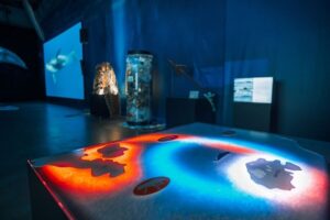 Reykjavik: Whales of Iceland Museum Entrance Ticket - Life-size whale models in a giant hall: what you’ll see
