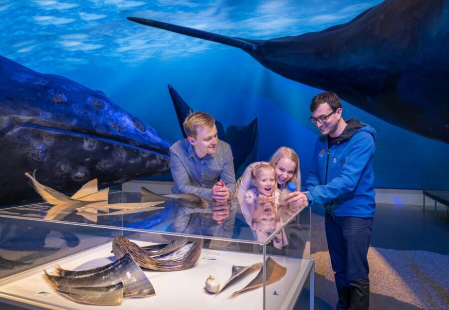 Reykjavik: Whales of Iceland Museum Entrance Ticket - Price and value: is $34 worth it for a 1-day visit?