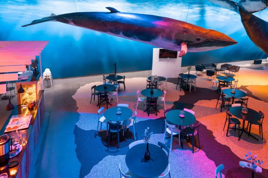 Reykjavik: Whales of Iceland Museum Entrance Ticket - Who should book this whale museum—and who might skip it
