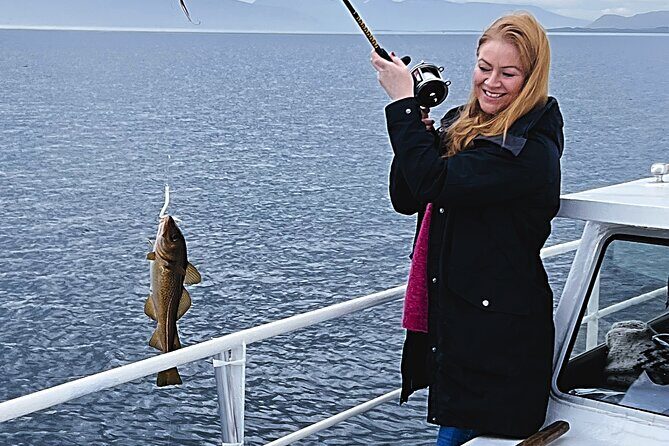 Reykjavik's Finest Catch: Guided Sea Angling Tour for All Levels - Key highlights you’ll actually care about