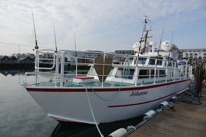 Reykjavik's Finest Catch: Guided Sea Angling Tour for All Levels - Which fish you might catch (and why that variety matters)
