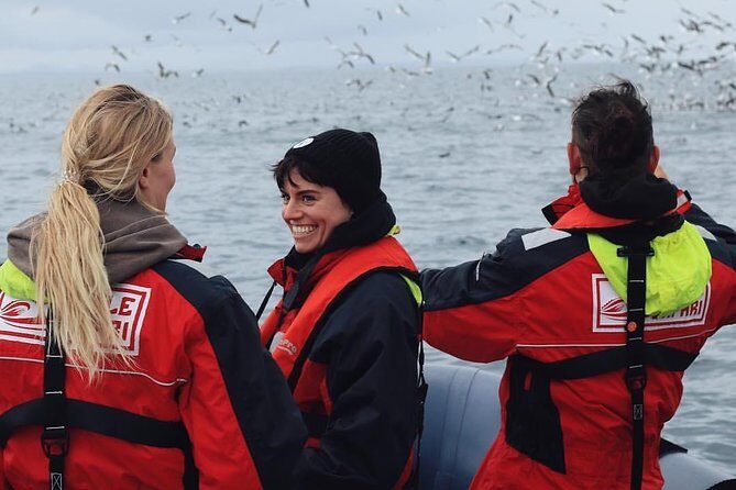 RIB Whale Watching Small-Group Boat Tour from Reykjavik - Reykjavik RIB whale watching: why this feels different