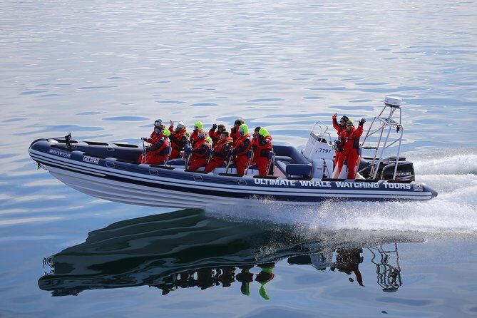 RIB Whale Watching Small-Group Boat Tour from Reykjavik - What to pack and who this tour fits best