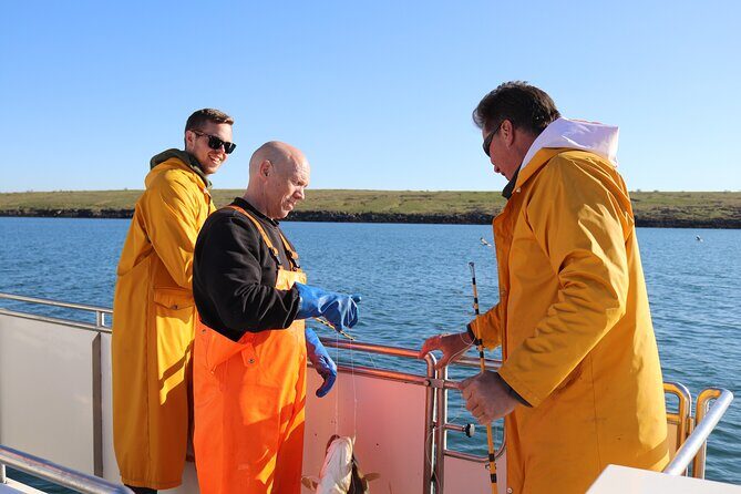 Sea Fishing Experience from Reykjavik - Key things I’d focus on before you book