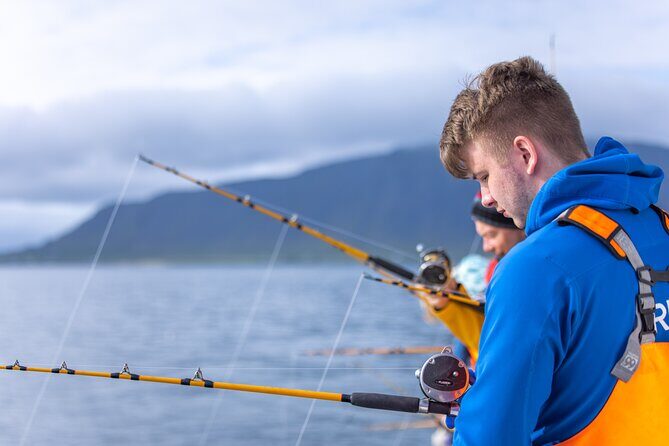 Sea Fishing Experience from Reykjavik - What the crew really does (and why that’s half the value)