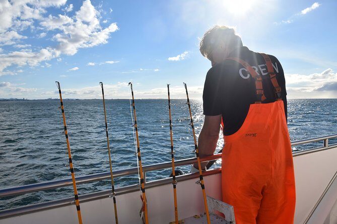 Sea Fishing Experience from Reykjavik - Timing, group size, and what to expect from the boat setup
