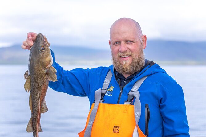 Sea Fishing Experience from Reykjavik - Species you’re targeting, and what that means for your odds