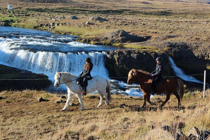 Short Riding Tour with Eye-Catching Photos at Waterfall - What You’ll Actually Do on the Horse (30 Minutes, or Close)