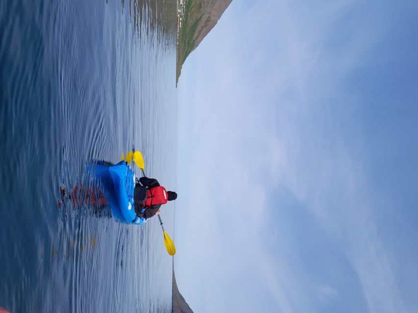 Siglufjörður / Siglufjordur: Guided kayak tour. - Key things I’d plan around