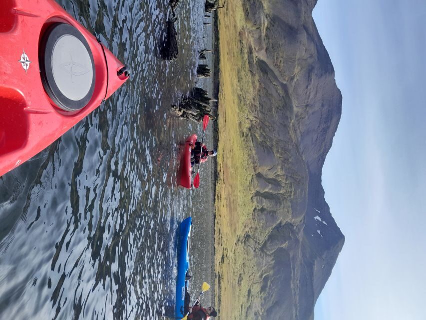 Siglufjörður / Siglufjordur: Guided kayak tour. - Kayaking Sigló Fjord in Siglufjörður: what you actually get