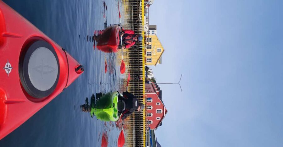 Siglufjörður / Siglufjordur: Guided kayak tour. - Who this kayak tour suits best in Northeast Iceland