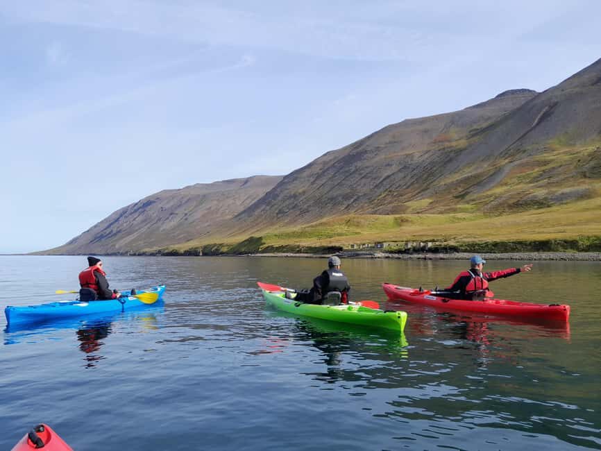Siglufjörður / Siglufjordur: Guided kayak tour. - Should you book it? My honest take