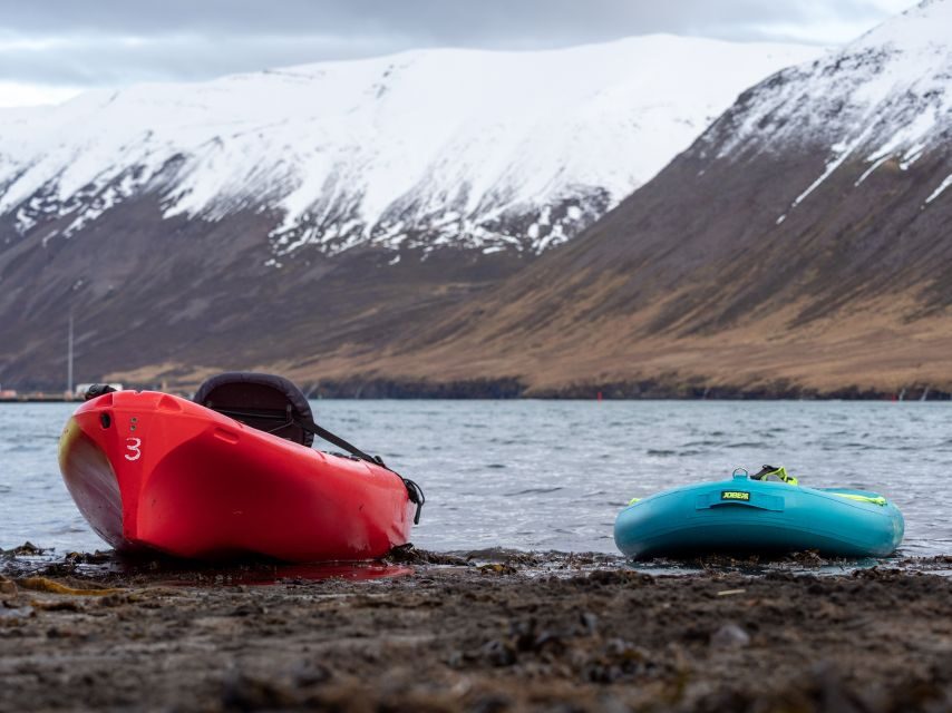 Siglufjörður / Siglufjordur: Guided kayak tour.