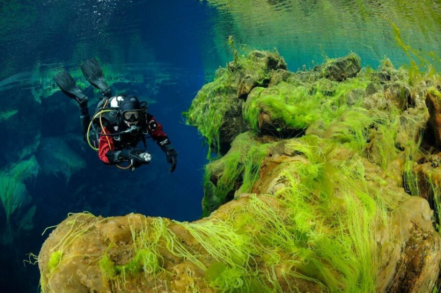 Silfra: Diving Between Tectonic Plates - Price and value of the $289 ticket