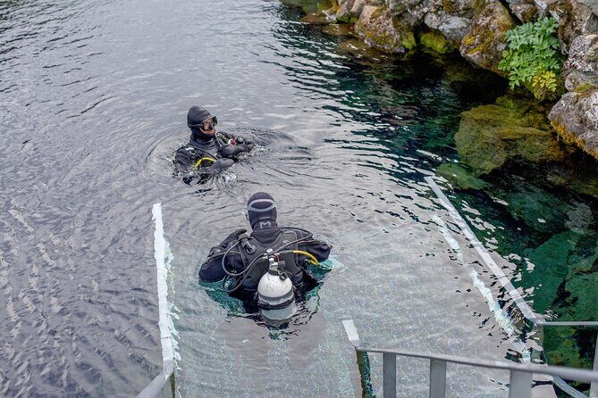 Silfra: Diving Between Tectonic Plates and Pick Up from Reykjavik - Price and value: what $325 covers (and what it doesn’t)