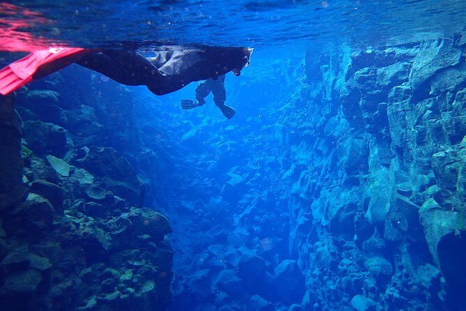 Silfra Fissure Snorkeling From Reykjavík - Free Underwater Photos - The Fissure Experience: Floating Between Continents