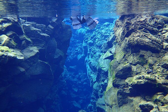 Silfra Fissure Snorkeling From Reykjavík - Free Underwater Photos - Best-Fit Match: Who This Tour Works For