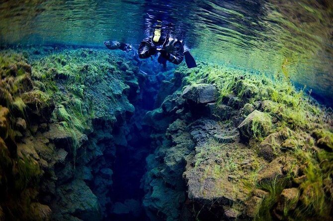 Silfra Fissure Snorkeling From Reykjavík - Free Underwater Photos - Season and Cold: What to Expect Without Guesswork