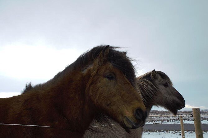 Small-Group Golden Circle Full-Day Tour from Reykjavik - Breaks, Extra Stops, and the Lunch Reality
