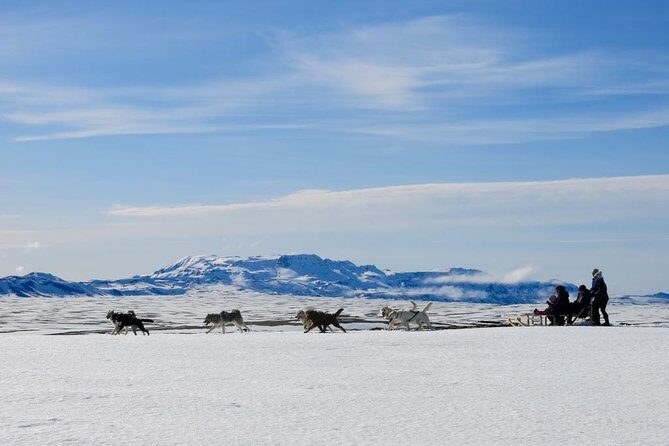 Small Group Husky Sledding Tour from Capital Region - Key Points You Should Know Before You Go
