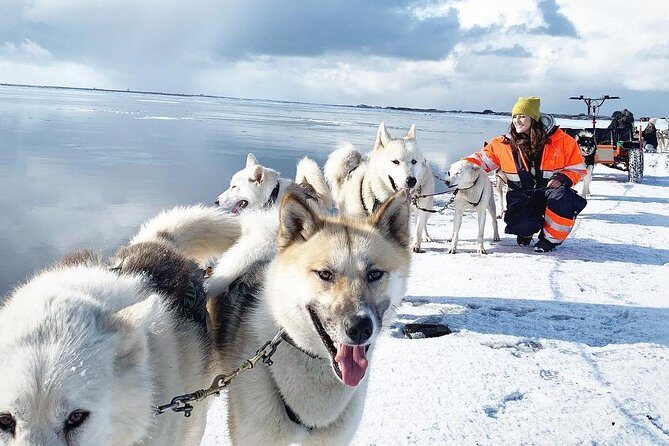 Small Group Husky Sledding Tour from Capital Region - Why This Husky Tour Works Near Reykjavik