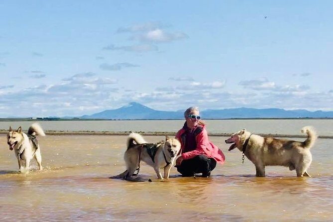 Small Group Husky Sledding Tour from Capital Region - Pickup and Getting There: The Reykjavik-to-Mosfellsbær Piece