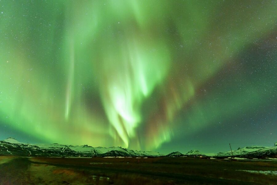 Small-Group Premium Northern Lights Tour from Reykjavik - Why this 4-hour aurora hunt beats the big-bus model