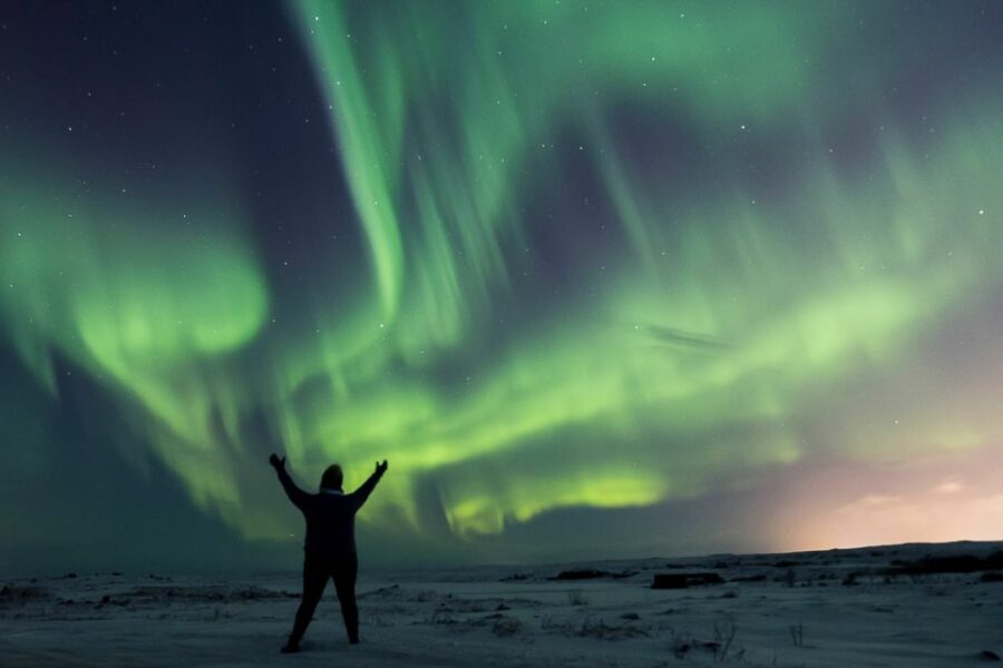 Small-Group Premium Northern Lights Tour from Reykjavik - Should you book this Northern Lights tour or shop around?