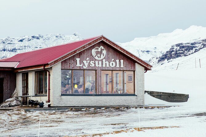 Snæfellsnes in Spanish with lunch on a farm Minibus - Snæfellsnes from Reykjavik: the drive that sets expectations