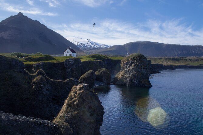 Snæfellsnes in Spanish with lunch on a farm Minibus - Ytri Tunga: 30 minutes of seal spotting (and how to do it right)