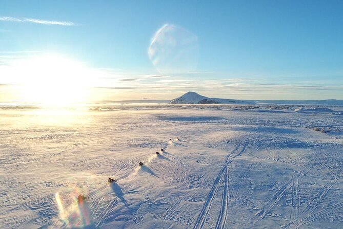 Snowmobile Tour by Lake Mývatn - Stop on frozen Lake Mývatn: volcano vs. snow in real time