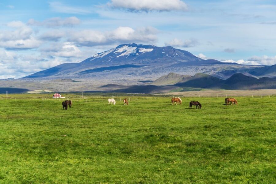 South Coast Classic: Full-Day Tour from Reykjavik - From Reykjavik’s pickup to south-coast geology in motion