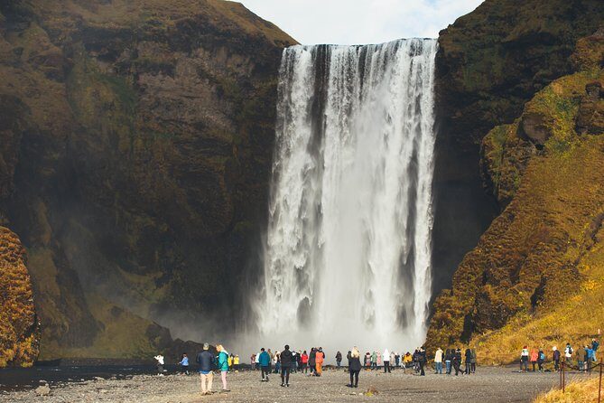 South Coast Day Tour Black Sand Beach & Waterfalls from Reykjavik - What You Get For Your Money: Guide, Free Stops, WiFi
