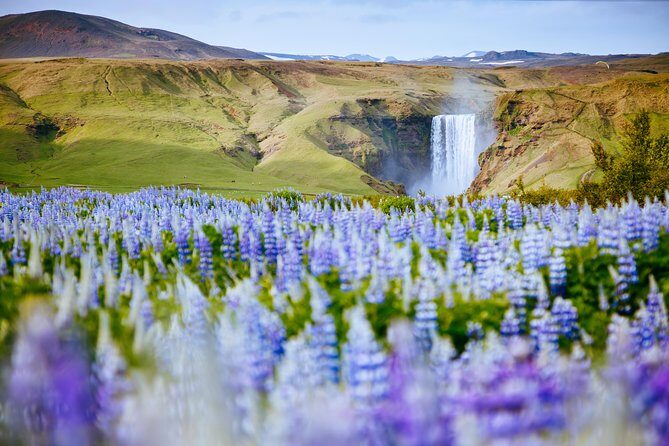 South Coast Iceland from Reykjavik with Guide & Touchscreen Audio - Seljalandsfoss: Walking Behind the Waterfall (If You Dress for It)
