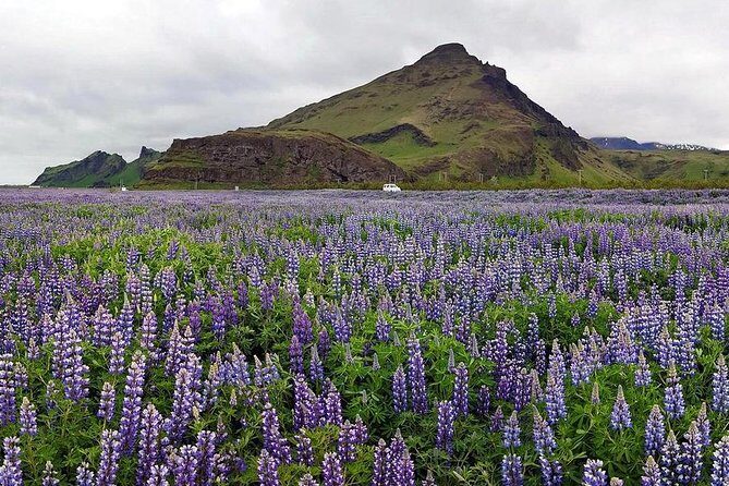 South Coast. Private Day Tour from Reykjavik - Reykjavik Pickup and a Guide Who Controls the Day