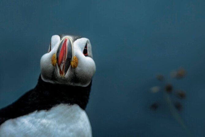 South Coast Sagas: Small Group Tour with Pick-up from Reykjavik - The role of the guide: why commentary makes the drive worth it