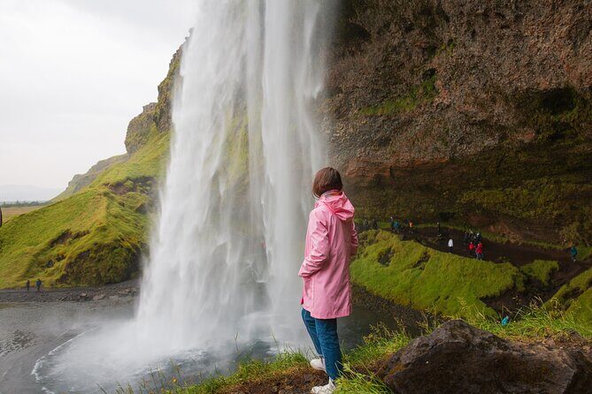 South Iceland, Glacier and Black Sand Beach Small Group Tour - A 10-hour South Coast Sampler From Reykjavik
